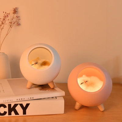 Indoor Study Lamp: NextLevelGoods