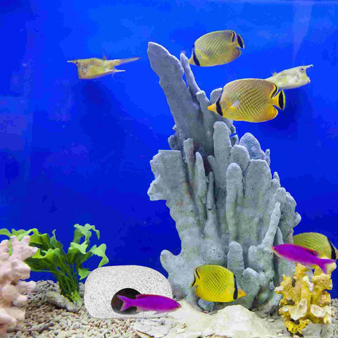 Fish Tank Decoration: nextlevelgoods